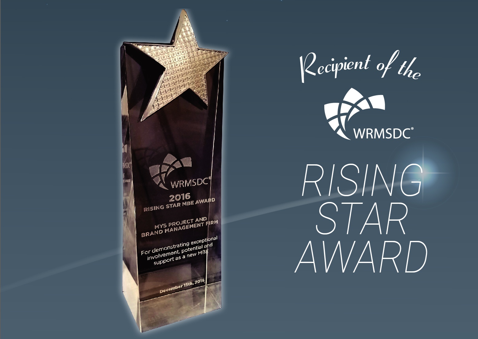 WRMSDC Emerging Business Award MYS-01 Emerging Business Award